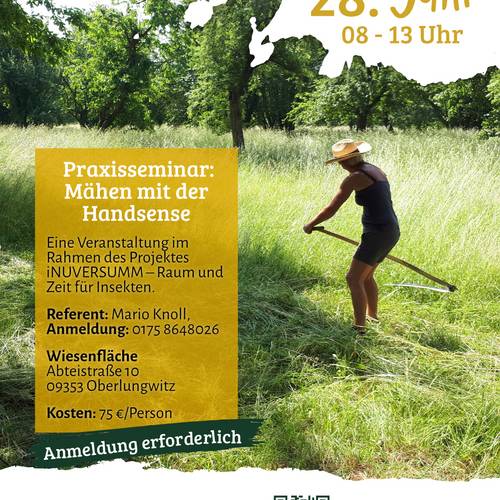 2025.05.19 - LPV - Veranstaltungen in Oberlungwitz_Flyer Sense.jpg